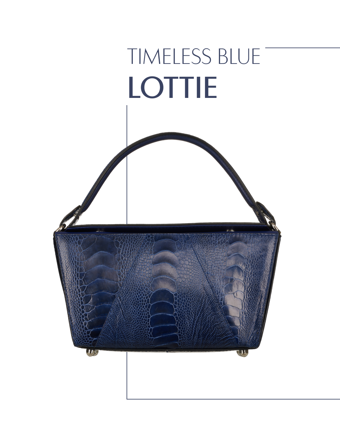 Updated style: Lottie handbag