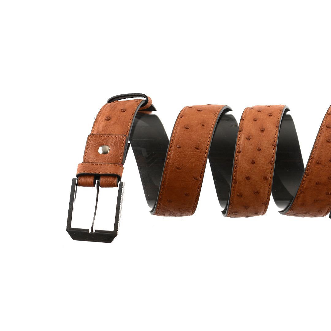 Men's 38mm Belt - Brown Ostrich Quill Leather