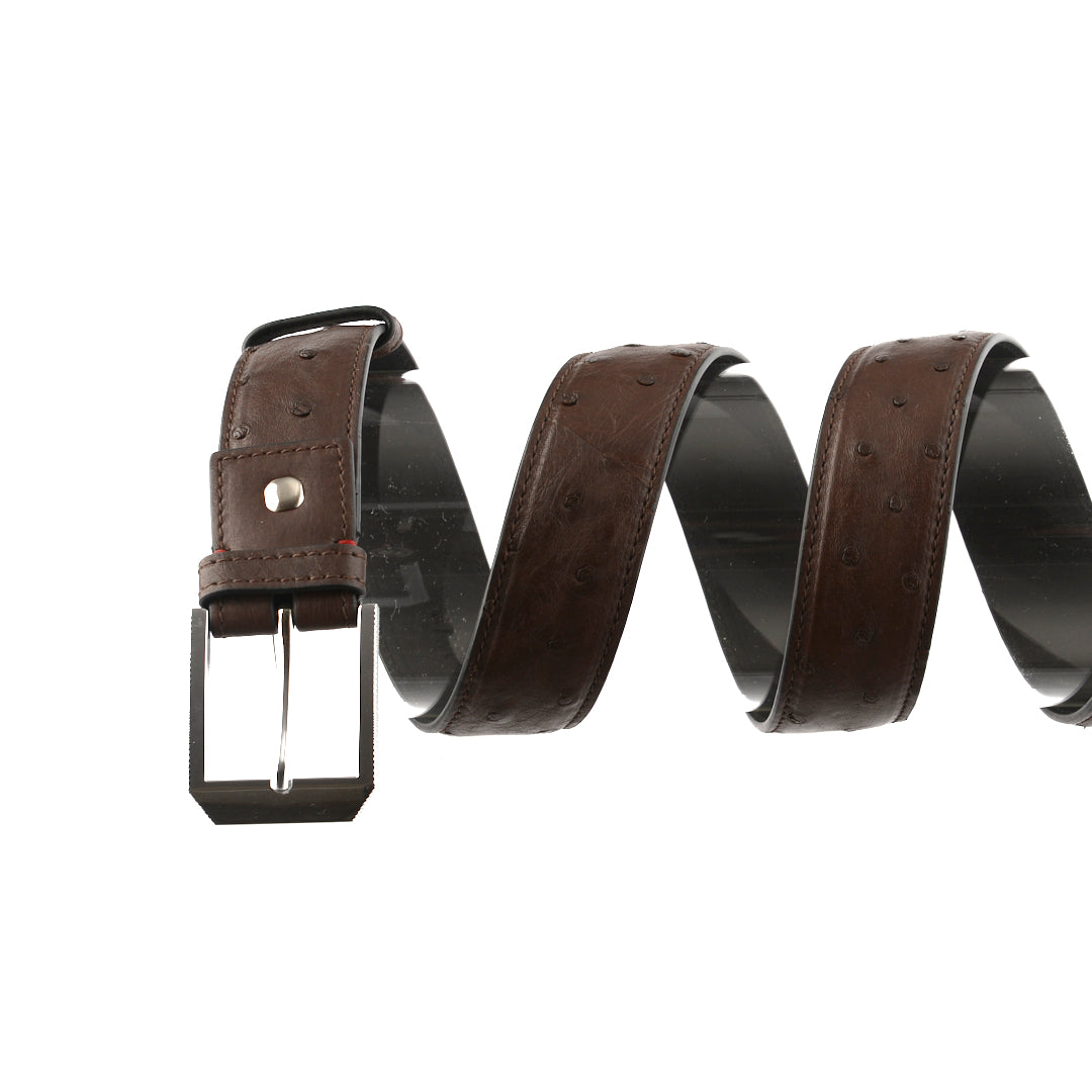 Men's 38mm Belt - Dark Brown Ostrich Quill Leather